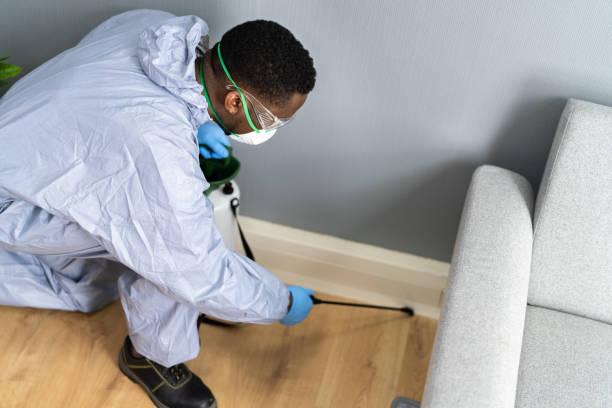 Best Residential Pest Control  in Ridgeville, SC